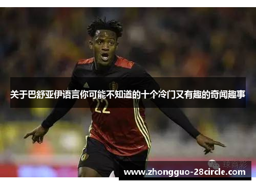 关于巴舒亚伊语言你可能不知道的十个冷门又有趣的奇闻趣事