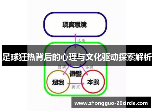 足球狂热背后的心理与文化驱动探索解析