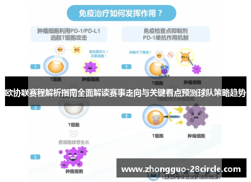 欧协联赛程解析指南全面解读赛事走向与关键看点预测球队策略趋势 欧协联赛程解析指南全面解读赛事走向与关键看点预测球队策略趋势