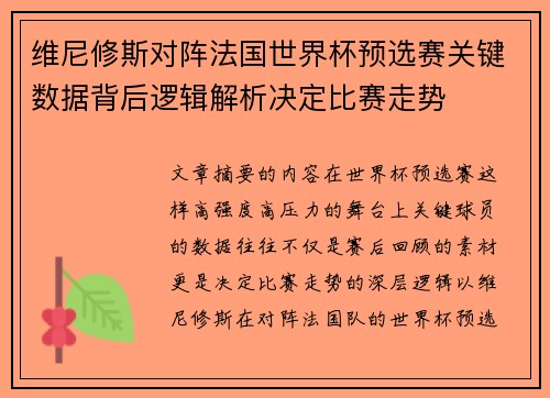维尼修斯对阵法国世界杯预选赛关键数据背后逻辑解析决定比赛走势